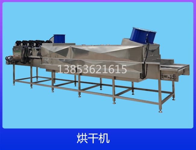 江苏电加热网带链板烘干机