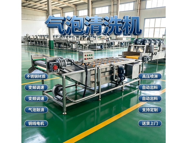 江苏多功能气泡清洗机