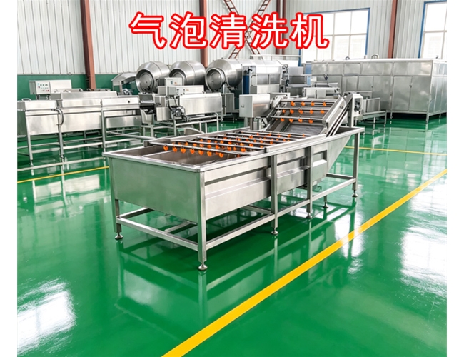 江苏山楂气泡清洗机