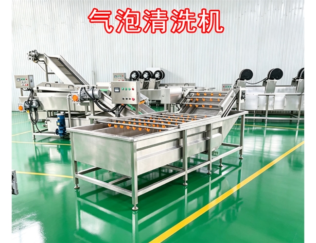 江苏桔梗气泡清洗机