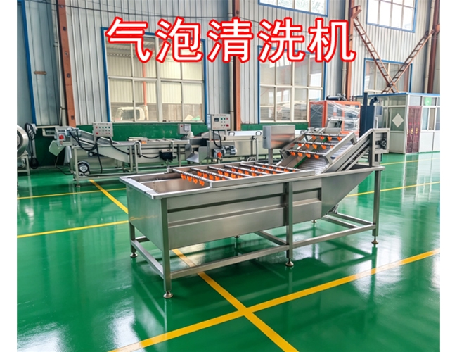 江苏银耳气泡清洗机