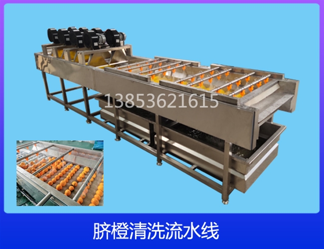江苏脐橙清洗机