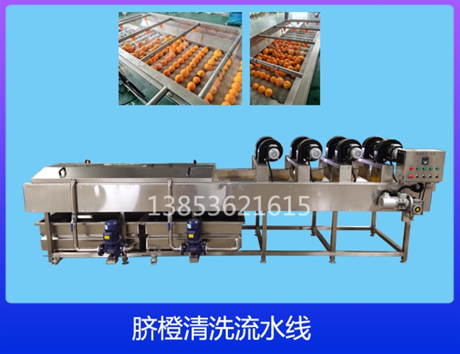 江苏沃柑清洗机