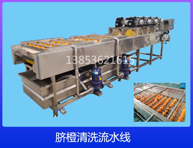 江苏柠檬清洗机