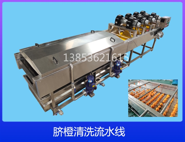 江苏陈皮清洗机