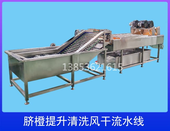 江苏柑橘提升清洗流水线