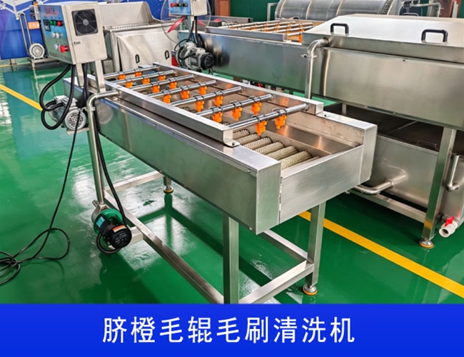 江苏沃柑毛辊毛刷清洗机