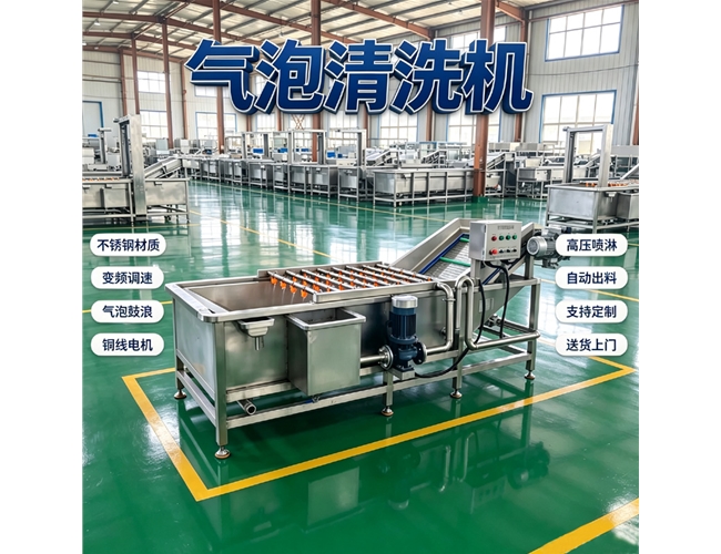 江苏根茎类气泡清洗机