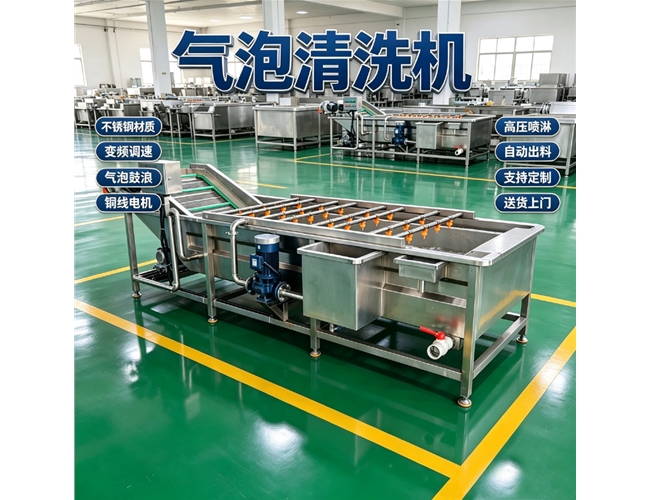 江苏鱼虾气泡清洗机